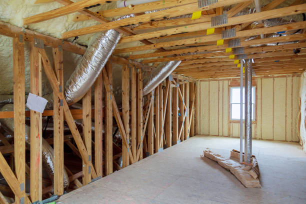 Best Insulation Maintenance and Repair in Lewisville, TX
