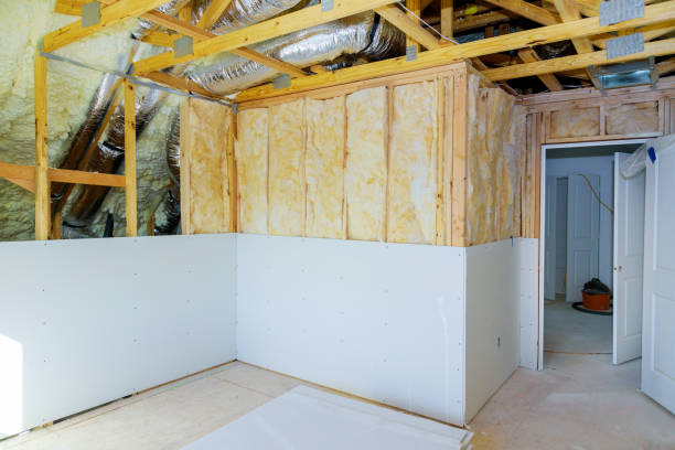 Best Commercial Insulation in Lewisville, TX