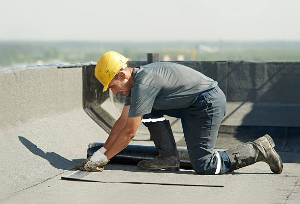 Best Eco-Friendly Insulation in Lewisville, TX